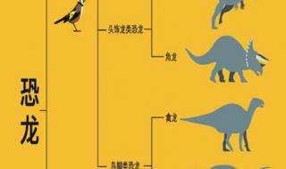 恐龙的分类与名称 恐龙分类及图片